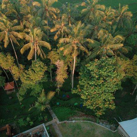 Bali Made Escape Hotell Payangan Exteriör bild