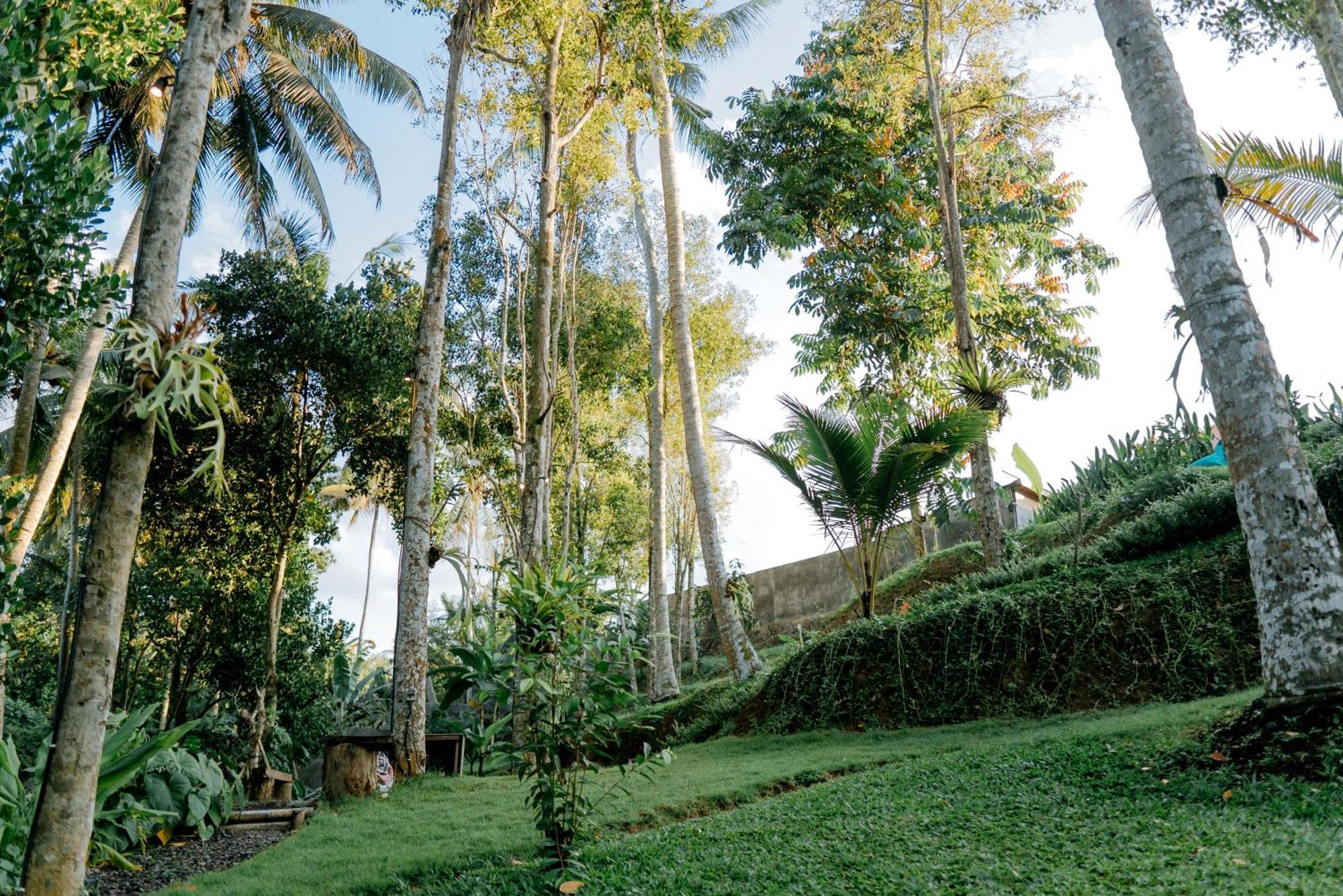 Bali Made Escape Hotell Payangan Exteriör bild