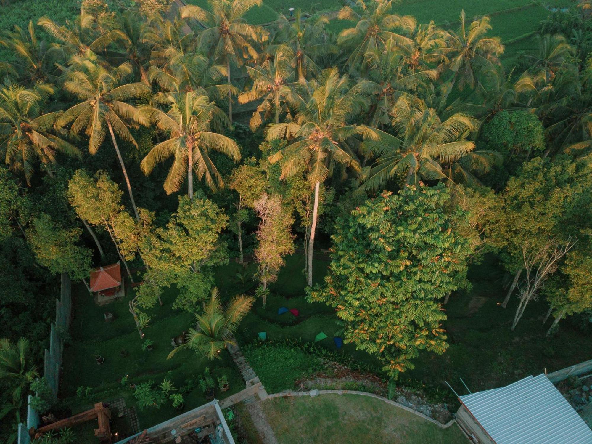 Bali Made Escape Hotell Payangan Exteriör bild